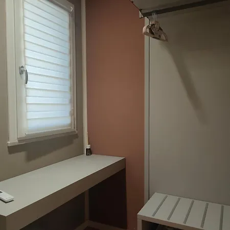 Malva Reggio di Calabria
